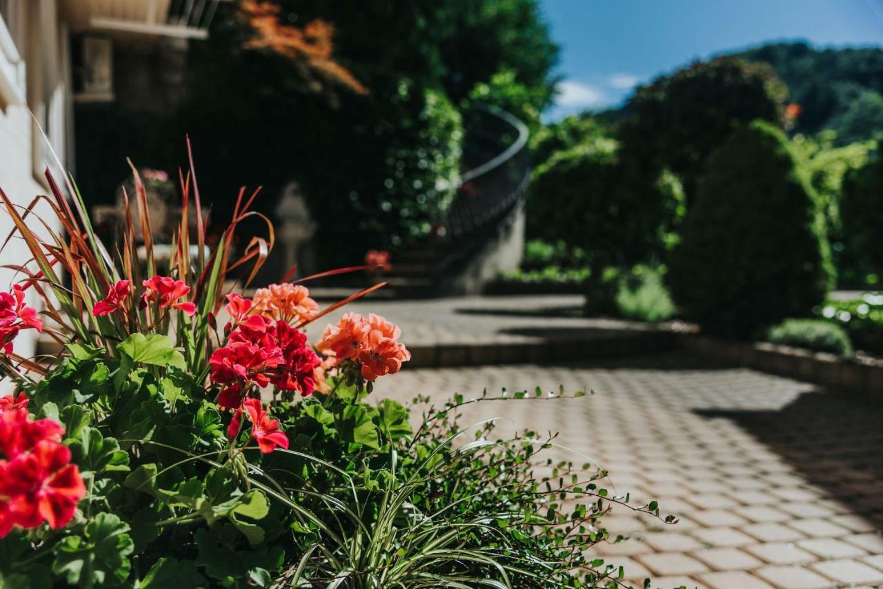 Apartmaji Urska Laško Dış mekan fotoğraf